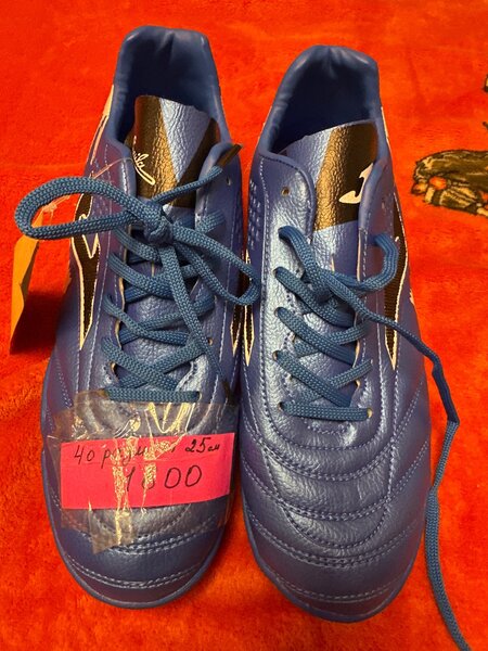 Сороконожки