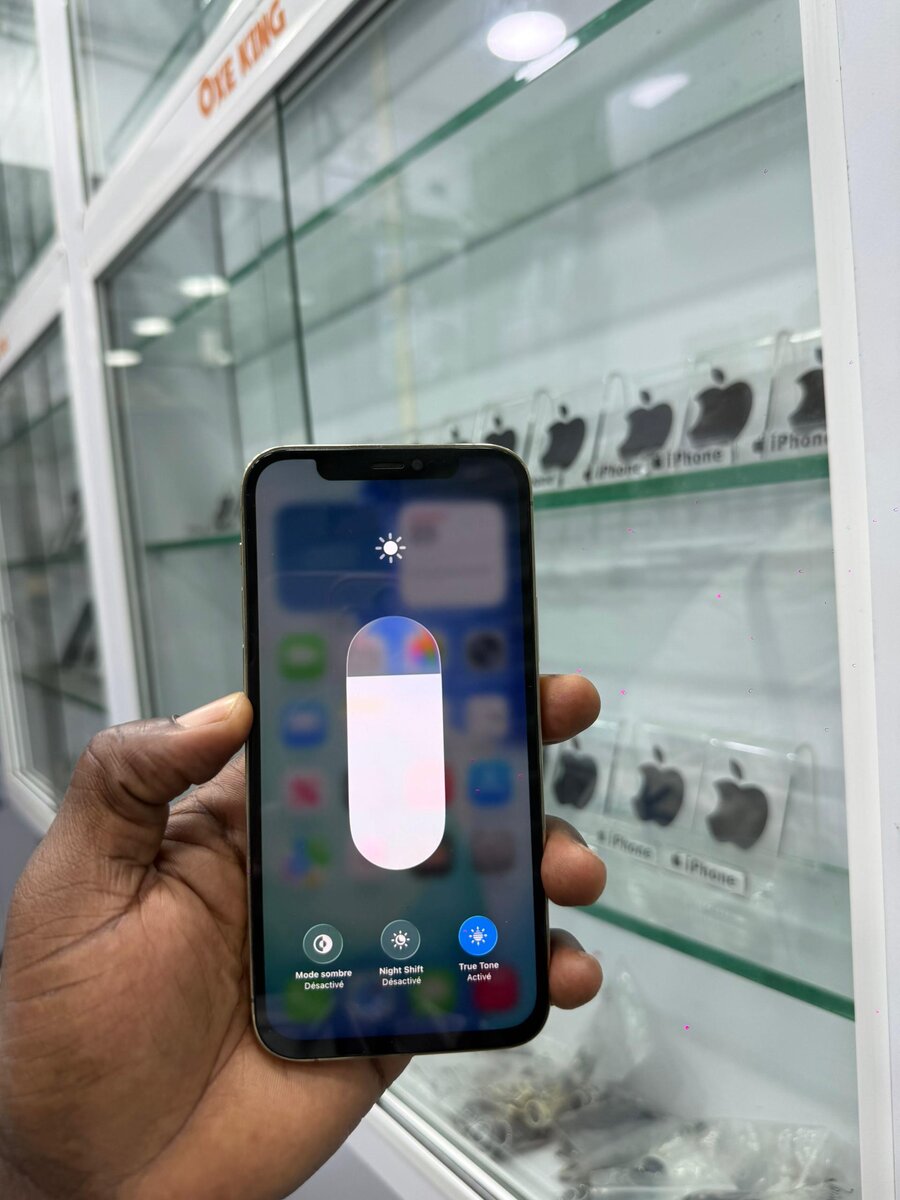 12 pro 256Go tout passe