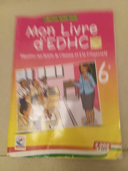 Lot de livres scolaires 6e