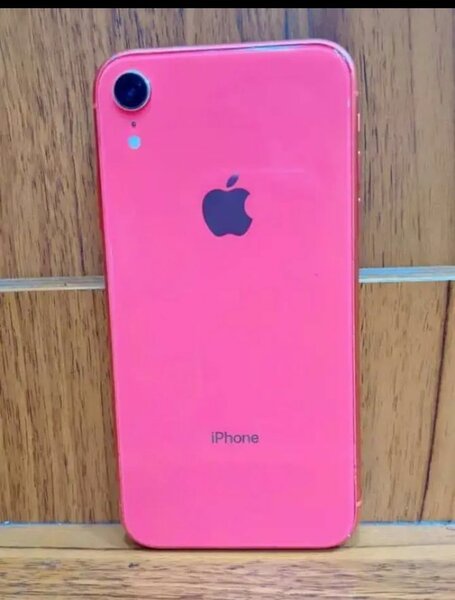 iPhone XR Couleurs Vives