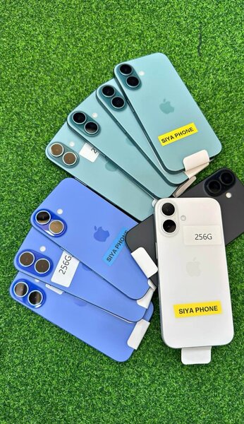 Smartphones 256 Go Couleurs Vives