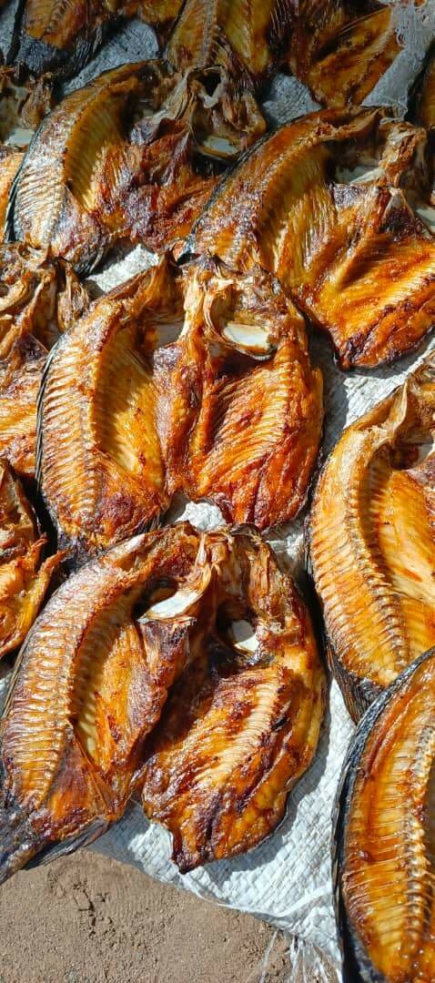 Semi dry Moto moya fish