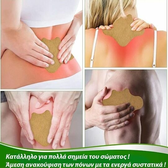 Pansements Herbal pour Douleurs - Hyllis