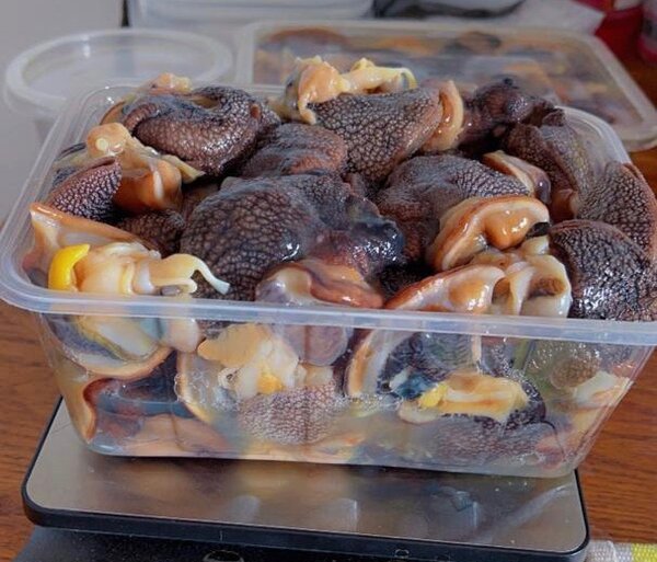 Escargots nettoyés congelés