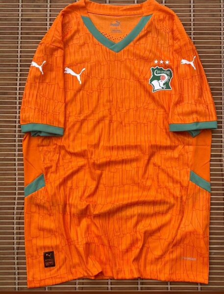 Maillot Équipe Côte d'Ivoire Puma