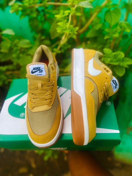 Nike SB Sneakers