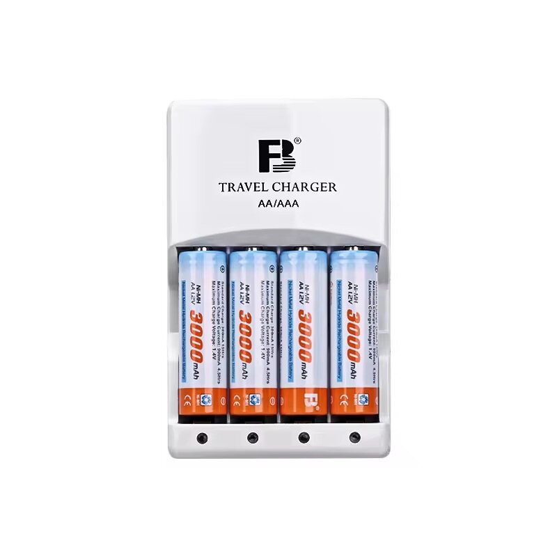 Chargeur de Piles Ni-MH 3000mAh