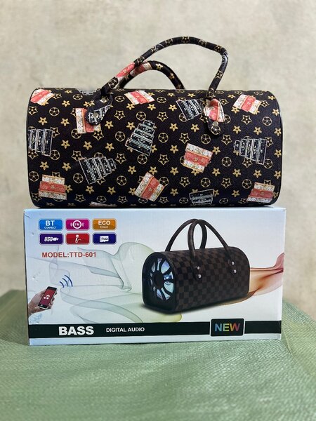 Enceinte karaoke portable Bluetooth