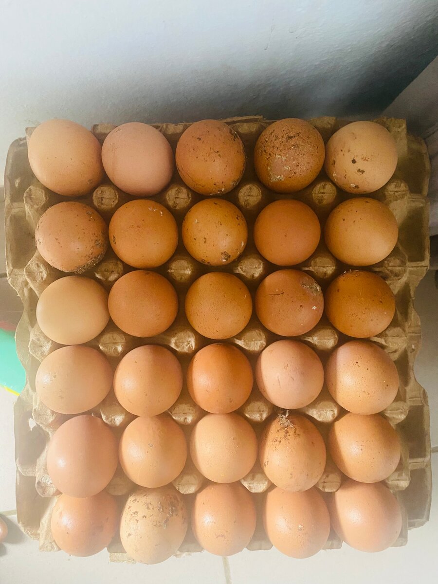 Oeufs Fermiers Simon