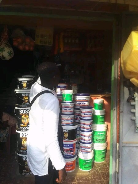 Peinture murale haute qualité