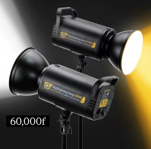 Lampe Studio 300W Photo Vidéo