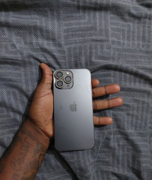 iPhone 13 Pro Max Gris