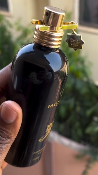 Montale Arabians Tonka 