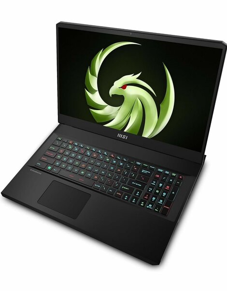 PC GAMERS MSI ALPHA 17