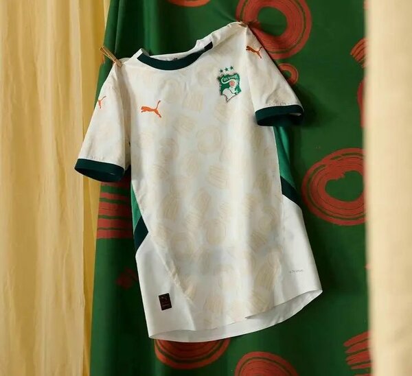 Maillot de football Puma Cameroun