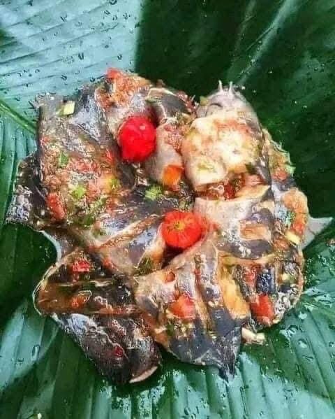 Plat saint et délicieux