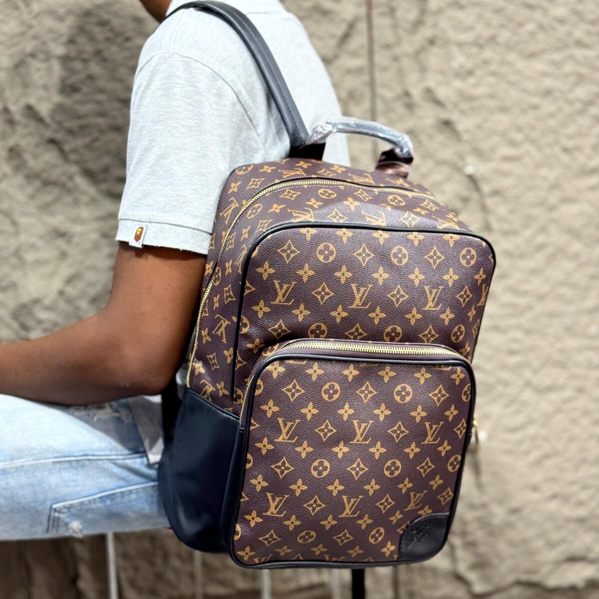 LOUIS VUITTON BACKPACK BAG