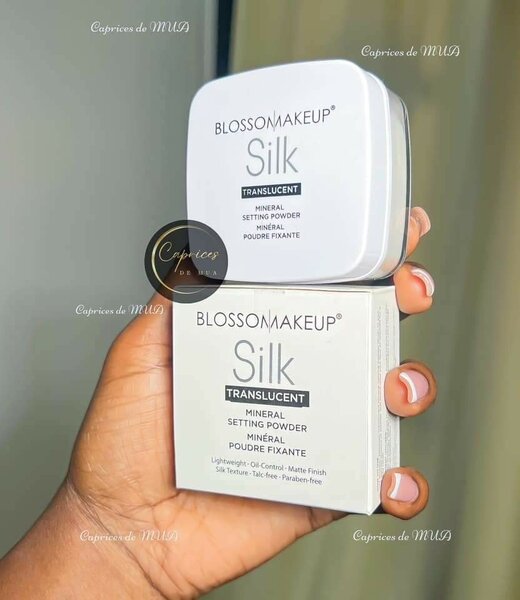 Poudre Fixatrice Minérale Silk