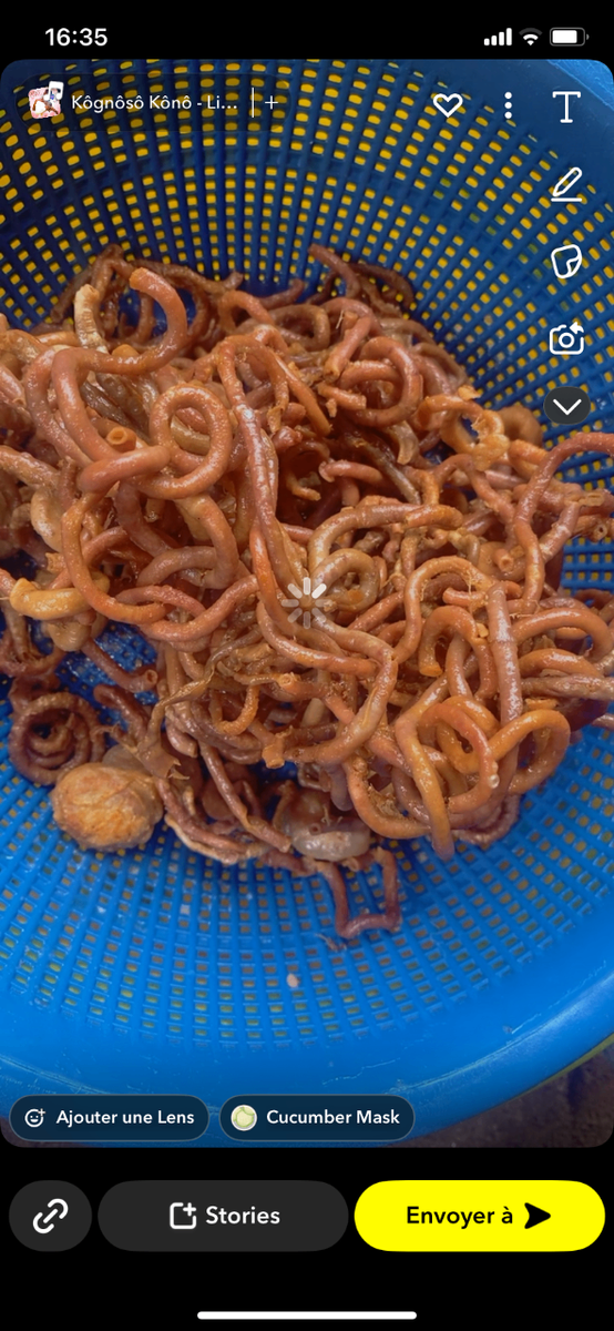 Calamars Frits Délicieux