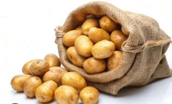 Pommes de terre fraîches