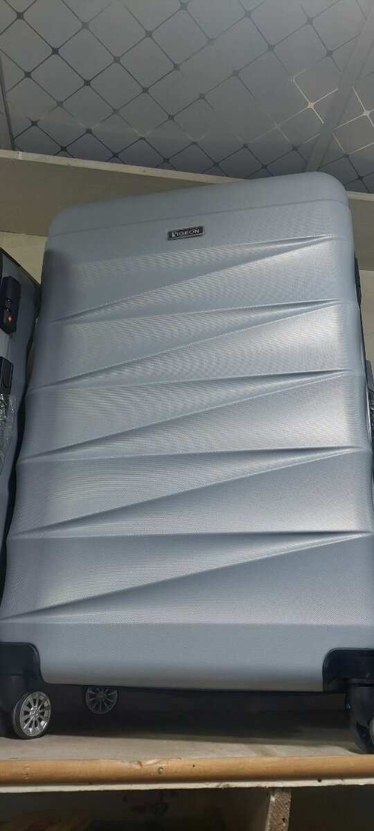 Suitcase travel Piegen