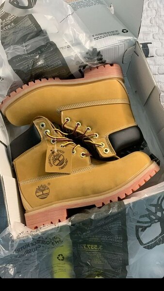 Chaussures Timberland Homme