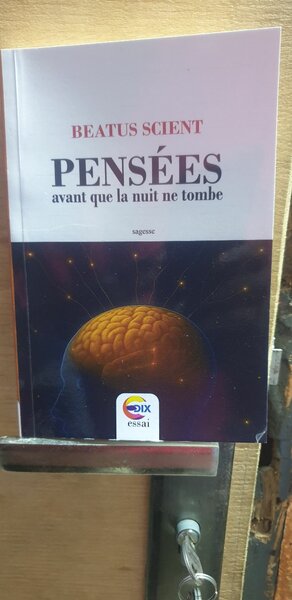 Pensées, avant que la nuit ne