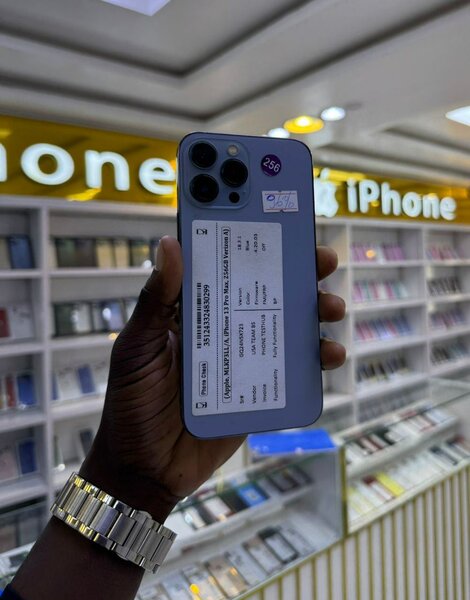 iPhone 13 Pro Max 256 Go