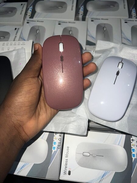 Souris sans fil élégante USB