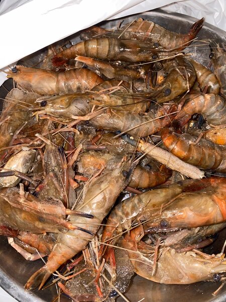 Écrevisse eau douce