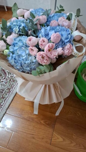 гортензии, спрей розы