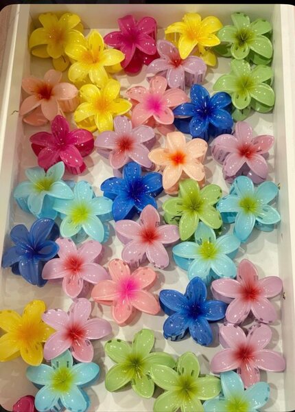 Pince à cheveux fleurs colorées