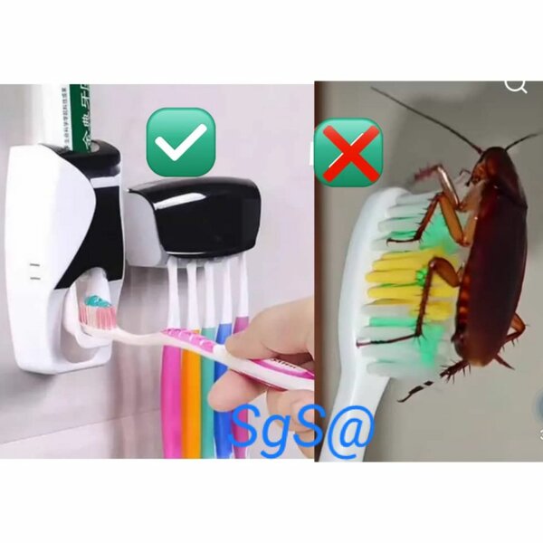 Protège-Porte brosses+ Distri