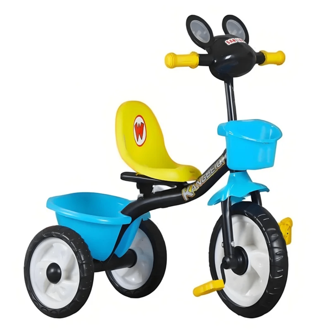 Tricycle Enfant Évolutif