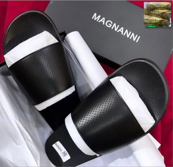 Magnanni