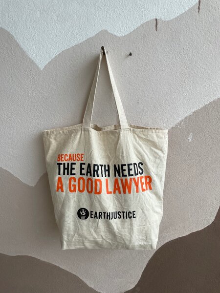 Sac fourre-tout en coton écologique