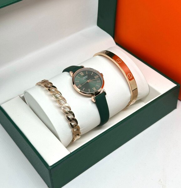 Montre luxe FEMME / BRACELETS