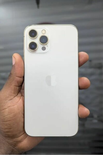 Apple iPhone Pro Max blanc