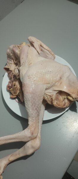 Poulet fermier frais