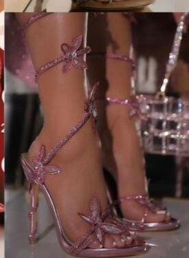 Magnifique chaussure Haute