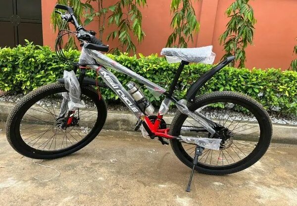 Vélo tout terrain GIANT gris