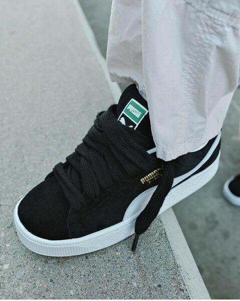 Puma scuderia