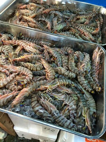 Crevettes fraîches de qualité