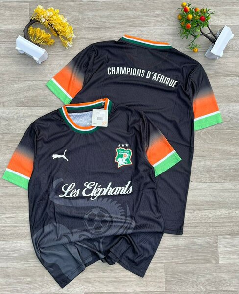 Maillot Côte d'Ivoire Éléphants