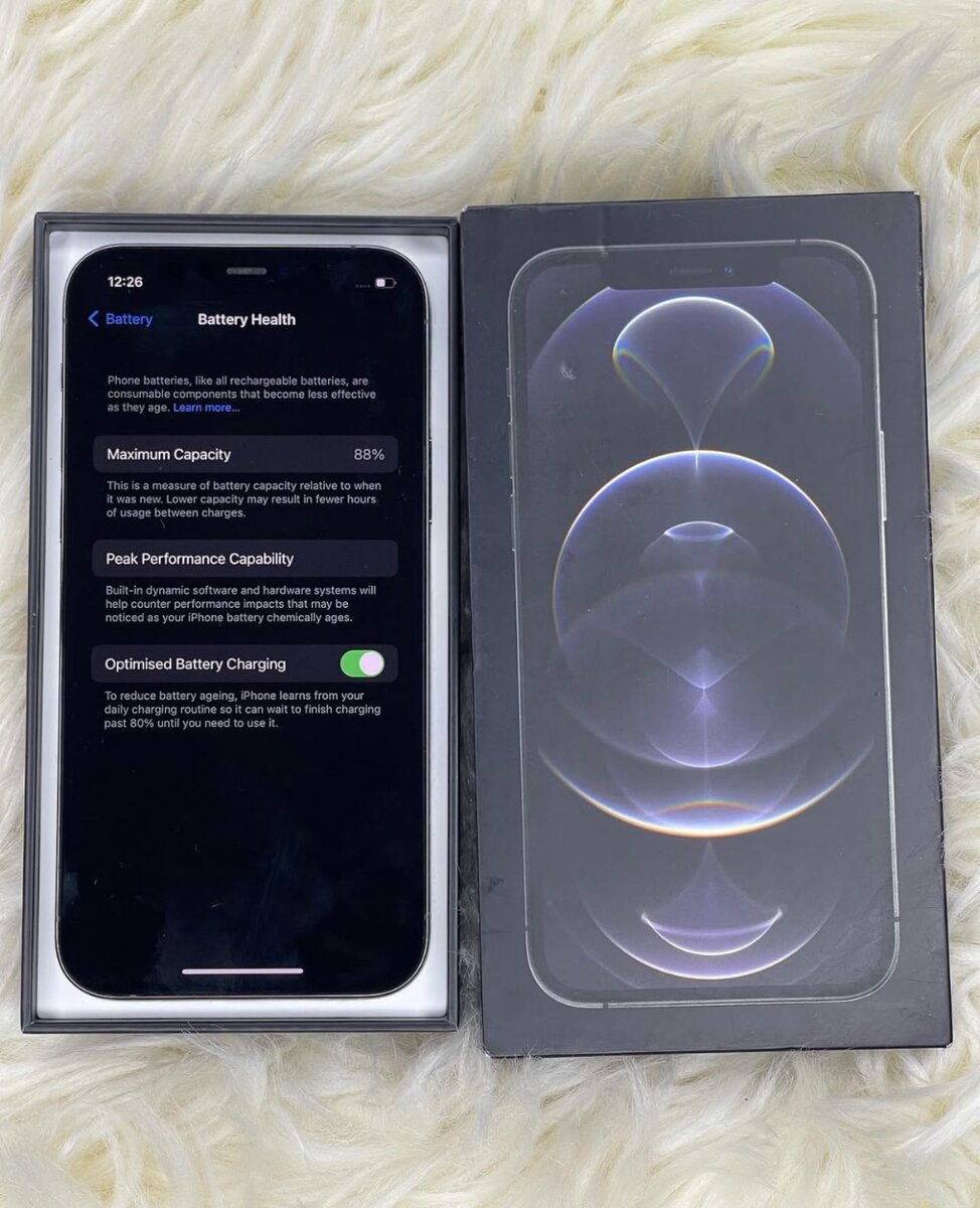 iPhone 12 Pro Max 256GB