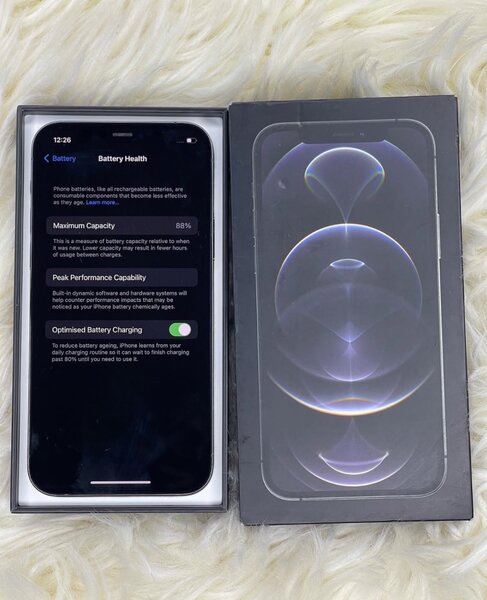 iPhone 12 Pro Max 256GB