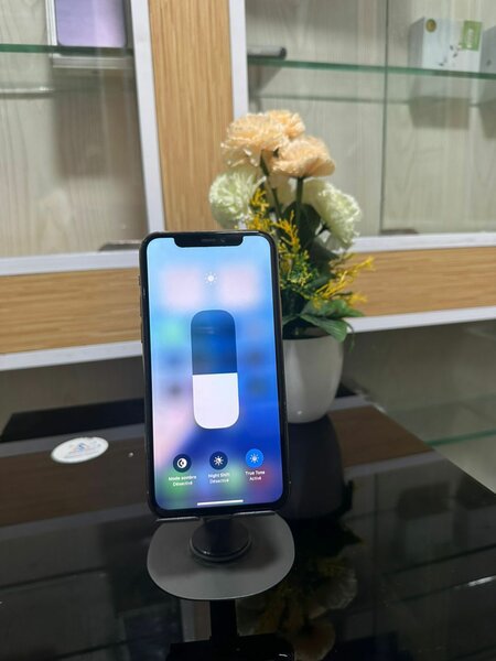 iPhone 11 Pro 256Go sans ID