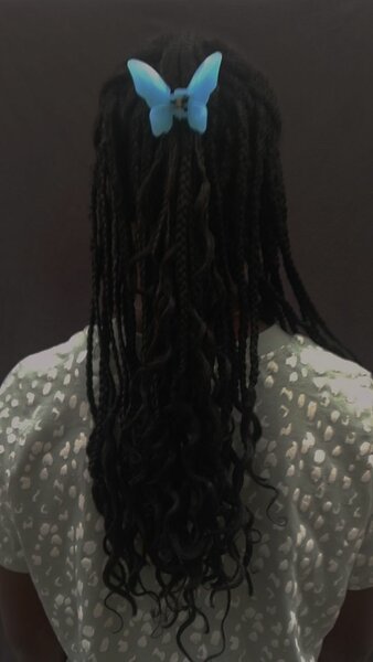 Clip Pince Papillon Colorée