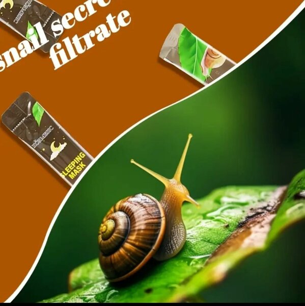20 Mask sommeil bave escargot