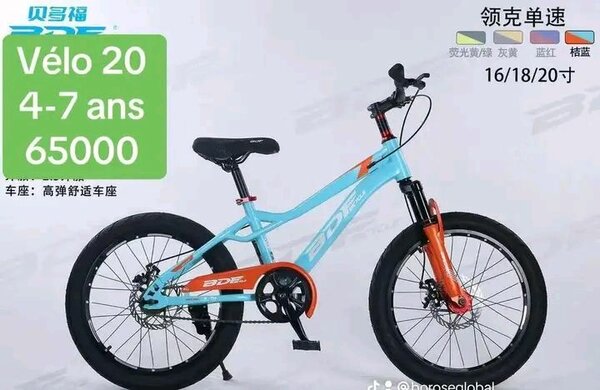 Vélo enfant 20 pouces - 4 à 7 ans